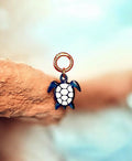 Turtle mold