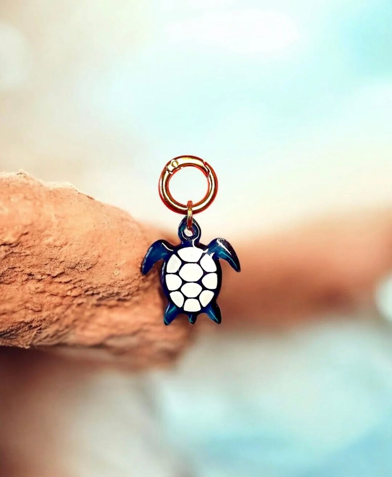 Moule tortue