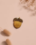 Moule gland