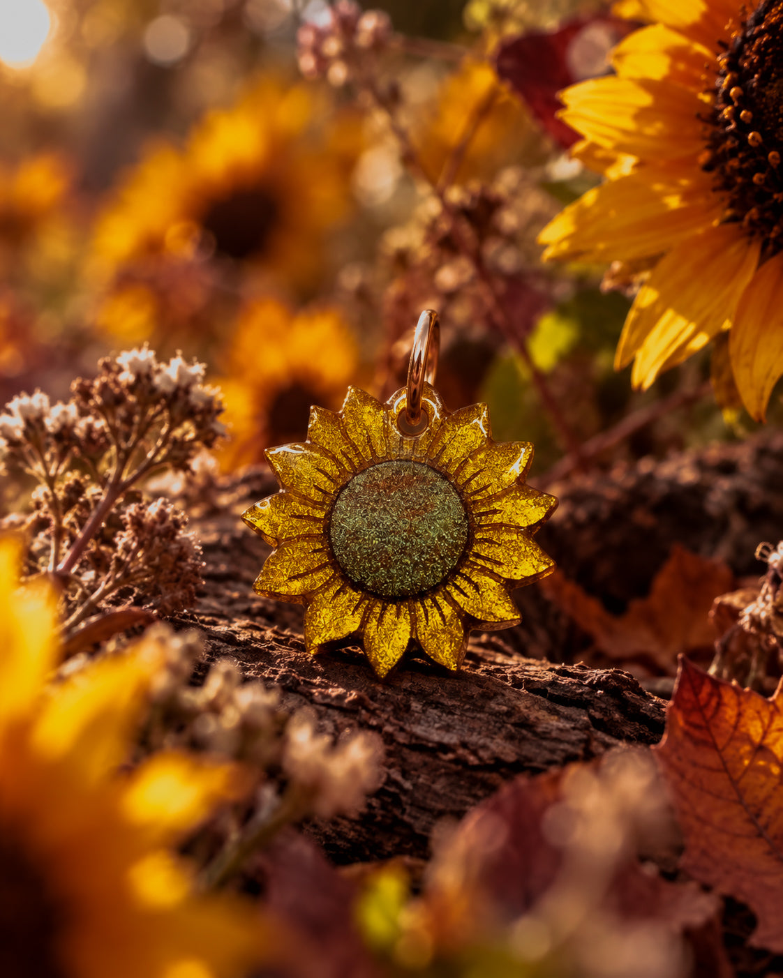 Moule Tournesol automne